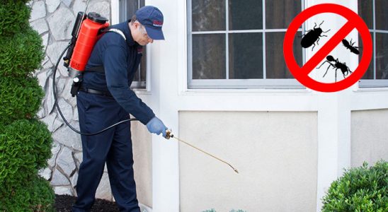 Doğanyol Uçan Haşere İlaçlama böcek ilaçlama ve haşere kontrolü — ilaclama-tr.com